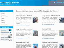 Tablet Screenshot of nettoyagedevitres.be